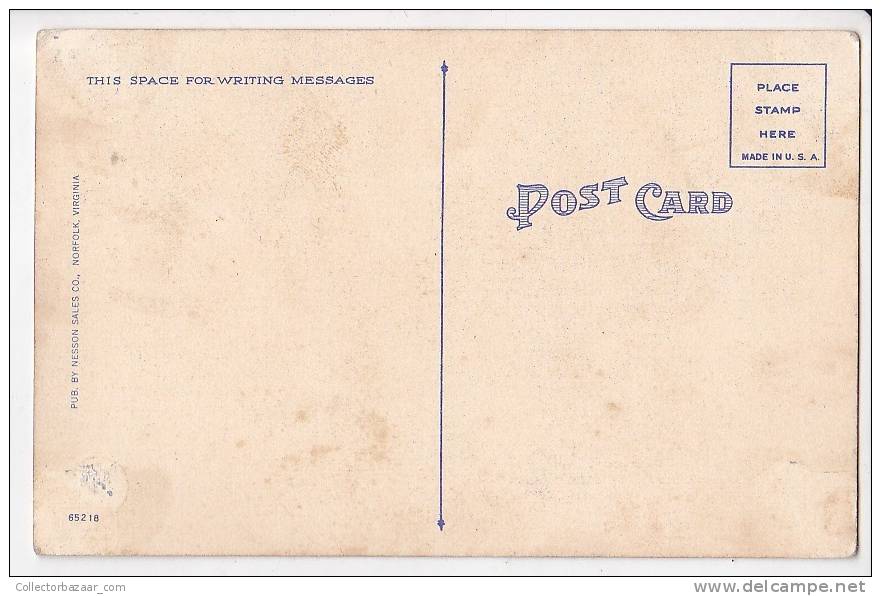 Sunny Shore Ocean View Va Girls In Swimisuit Vintage Original Postcard Cpa Ak (W3_1505) - Pin-Ups