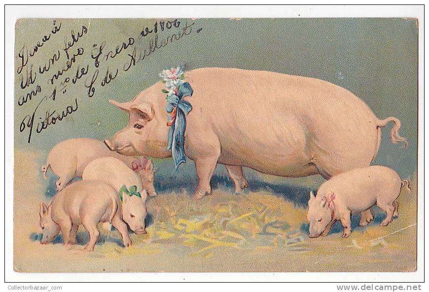 New Year Pig  Vintage Original Postcard Cpa Ak (W3_1522) - Cerdos