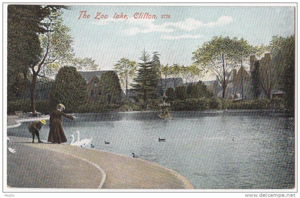 The Zoo Lake, Clifton, M J R Postcard - Bristol