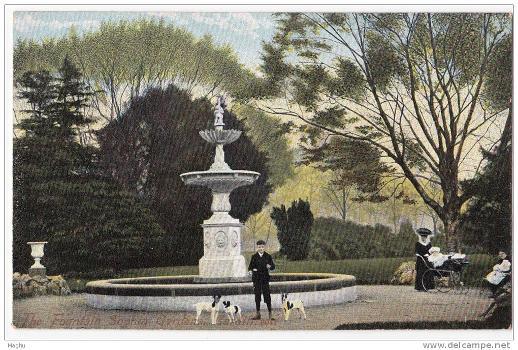 The Fountain Sophia Gardens, Cardiff, Wales, Dog / Dogs M J R Postcard - Zu Identifizieren