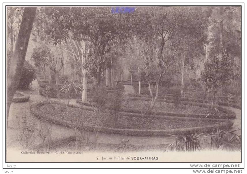 CPA D' ALGERIE - Jardin Public De SOUK-AHRAS - Collection BOUSDIRA - Souk Ahras