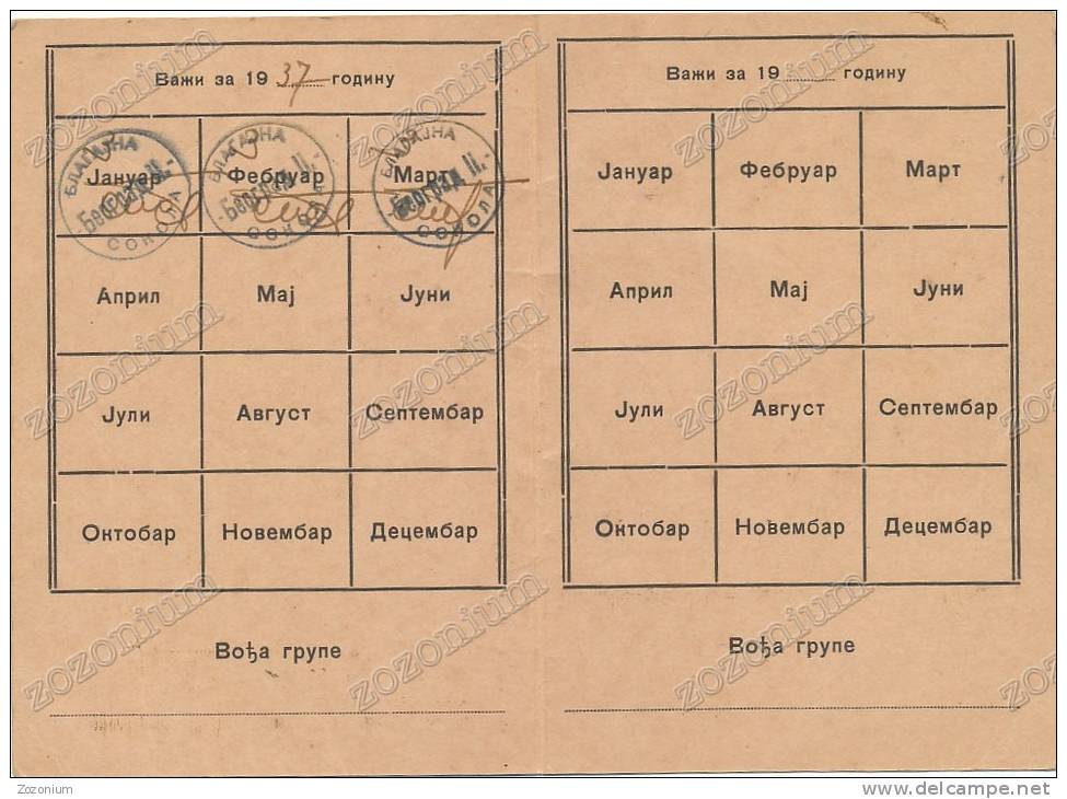 1937 SOKOL Membership Card, SERBIA Beograd - Non Classés