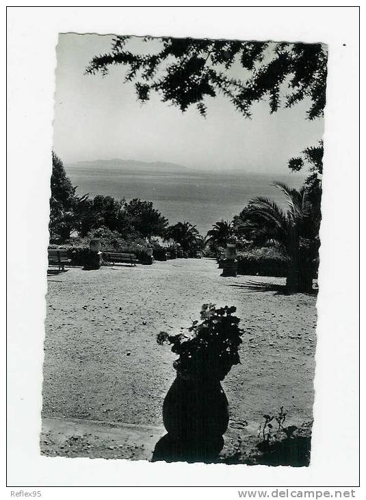 LE RAYOL - Vue Sur Les Iles - Rayol-Canadel-sur-Mer