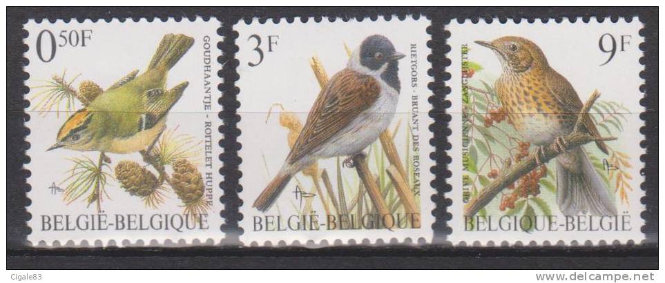 Belgique N° 2424 - 2425 - 2426 *** Oiseaux-Buzin - Roitelet Huppé - Bruant Des Roseaux - Grive Musicienne - 1991 - 1985-.. Oiseaux (Buzin)
