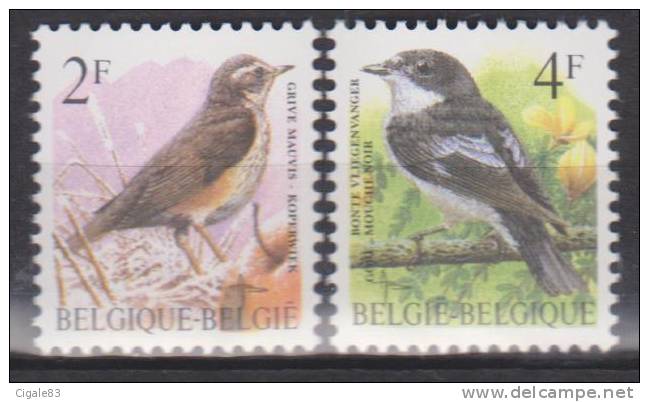 Belgique N° 2653 - 2654 *** Oiseaux-Buzin - Grive Mauvis - Gobe-mouche Noir - 1996 - 1985-.. Oiseaux (Buzin)