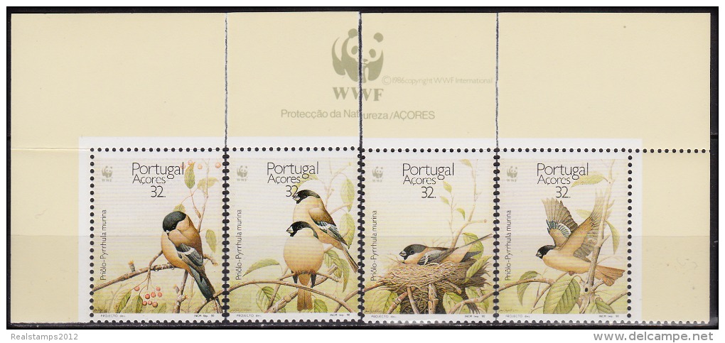 PORTUGAL - 1990,  Protecção Da Natureza - Açores  WWF ( Série, 4 Valores )   ** MNH  MUNDIFIL  Nº 1926/9 - Unused Stamps