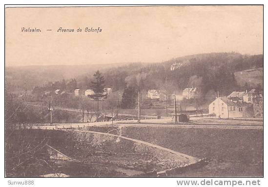 Vielsam - Avenue De Golonfa (peu Vue) - Vielsalm