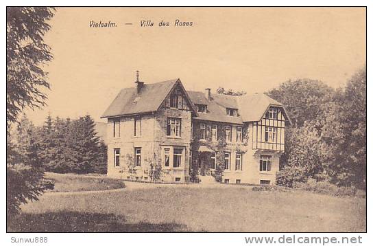 Vielsam - Villa Des Roses (peu Vue) - Vielsalm