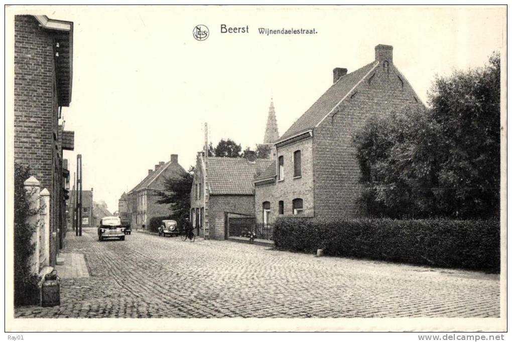 BELGIQUE -  FLANDRE OCCIDENTALE - DIKSMUIDE - DIXMUDE - BEERST - Wijnendaelestraat. - Diksmuide