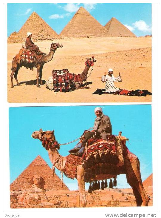Egypt - Ägypten - 2 AK Set Giza Pyramid - Camel - Sphinx - Khafre - Pyramides