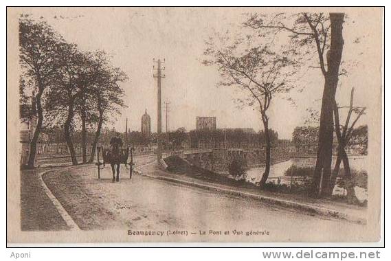 BEAUGENCY ( Le Pont Et Vue Generale ) - Beaugency