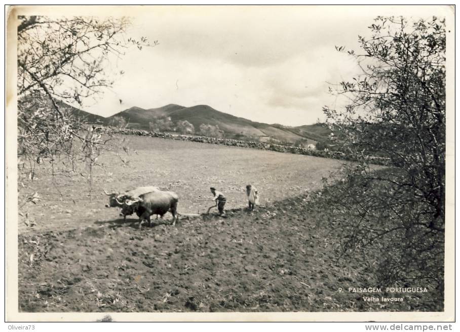 LAVOURA - BEJA - EVORA - PORTALEGRE -  2 Scans  PORTUGAL - Beja