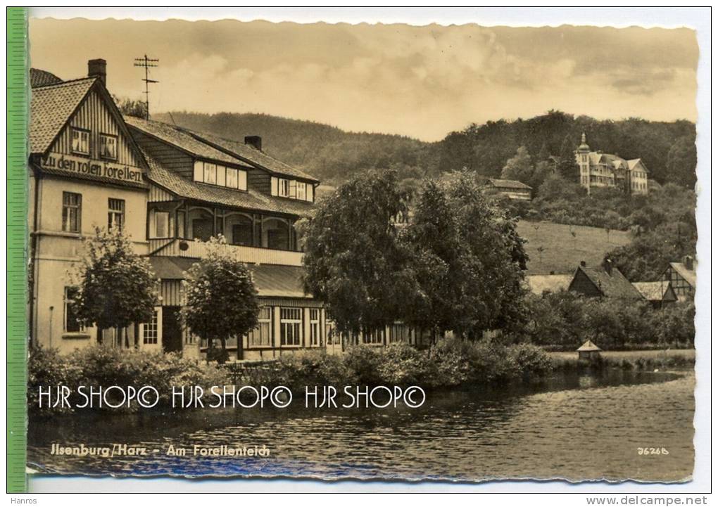 Ilsenburg/Harz – Am Forellenteich,  Verlag: E. Riehn. Wernigerode. POSTKARTE ,  Mit Frankatur, Mit Stempel, Ilsenburg - Ilsenburg