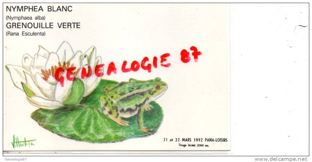 87 - PANAZOL - NYMPHEA BLANC - GRENOUILLE VERTE - MARS 1992 - N° 1015/2000 - Panazol