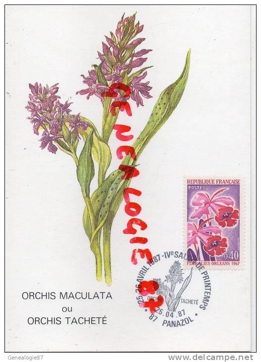 87 - PANAZOL -  FLEUR- ORCHIS MACILATA OU ORCHIS TACHETE- AVRIL 1987 - Panazol