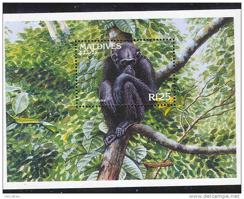 Maldives - S/S, MNH - Chimpanzees