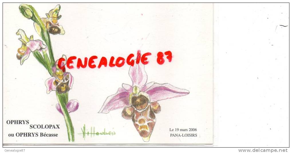 87 - PANAZOL - SALON MARS 2006- OPHRYS SCOLOPAX OU APHRYS BECASSE - FLEUR - Panazol