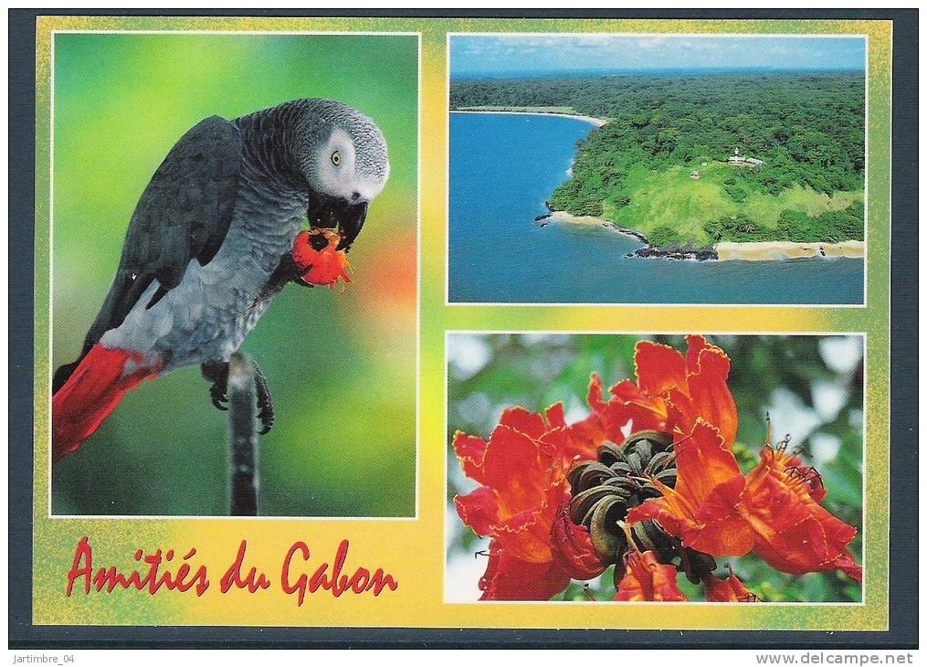 GABON  Carte Postale Perroquet Gris, Tulipier, Phare - Gabon