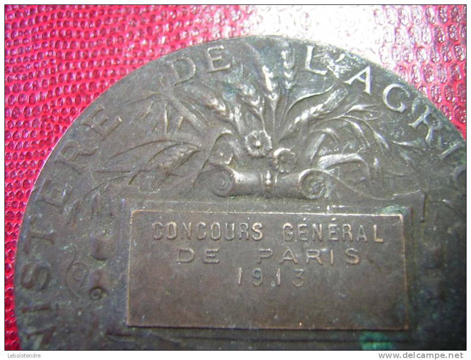 UNE MEDAILLE BRONZE SIGNEE ALPHEE DUBOIS MINISTERE DE L'AGRICULTURE CONCOURS GENERAL DE PARIS 1913  REPUBLIQUE FRANCAISE