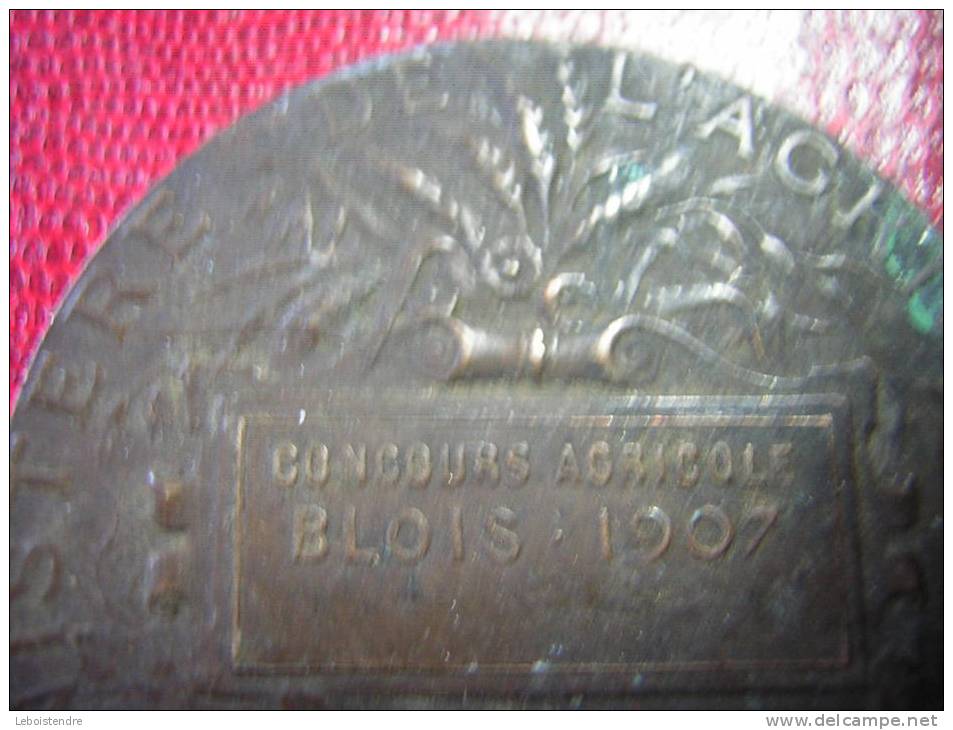 UNE MEDAILLE BRONZE SIGNEE ALPHEE DUBOIS MINISTERE DE L´AGRICULTURE CONCOURS AGRICOLE BLOIS 1907  REPUBLIQUE FRANCAISE - Professionals/Firms