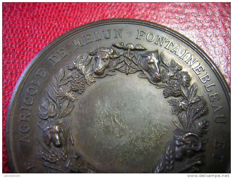 UNE BELLE  MEDAILLE CUIVRE  SIGNEE J LAGRANGE COMICE AGRICOLE DE MELUN FONTAINEBLEAU ET PROVINS - Professionals / Firms