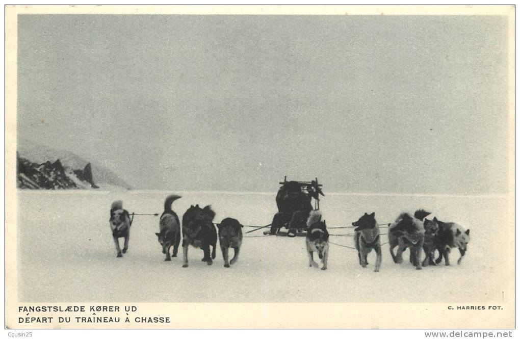 GROENLAND - Départ Du Traîneau à Chasse - Groenland