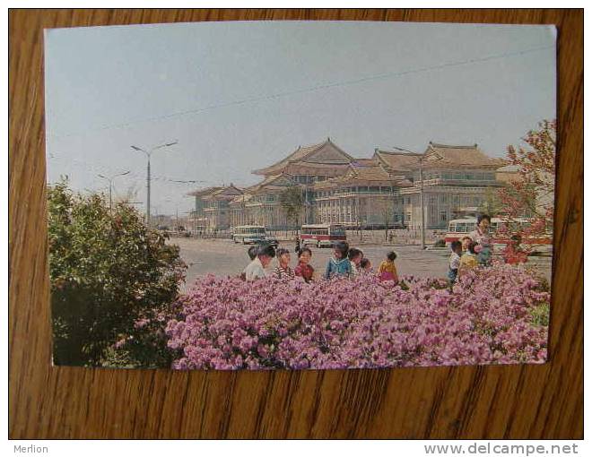 North Korea - Pyongyang - Les Enfants Et La Nature     D103215 - Corée Du Nord