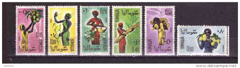 SOMALI REPUBLIC Various Products  Yvert Cat. N° 9/11-13/14-16  Mint Never Hinged - Agriculture