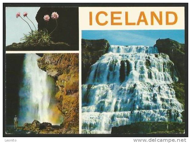 ISLAND Gluggafoss Fjallfoss Waterfalls Flora 1979 - Iceland