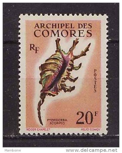 COMORES.  1962  N° 23 Neuf  X X - Unused Stamps