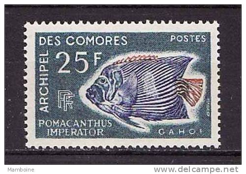 COMORES.  1968 N  48  Neuf  X X  Poisson - Unused Stamps