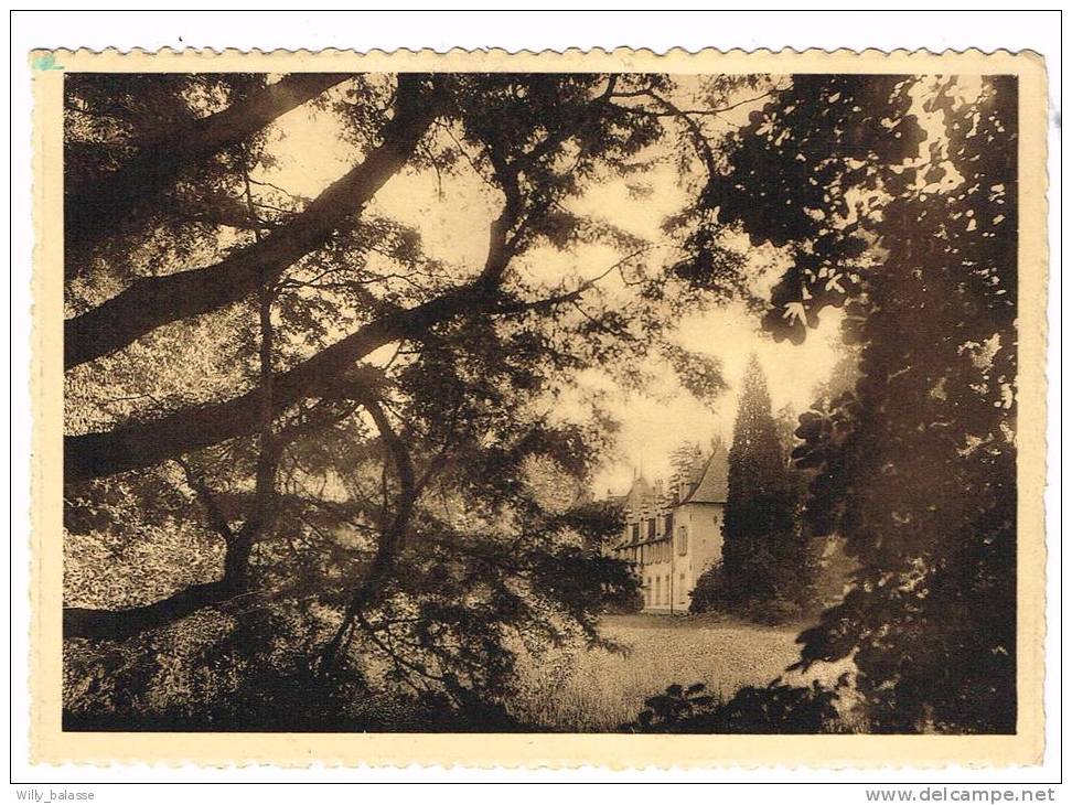 "Lovenjoul / Lovenjoel - Petit Château" - Bierbeek