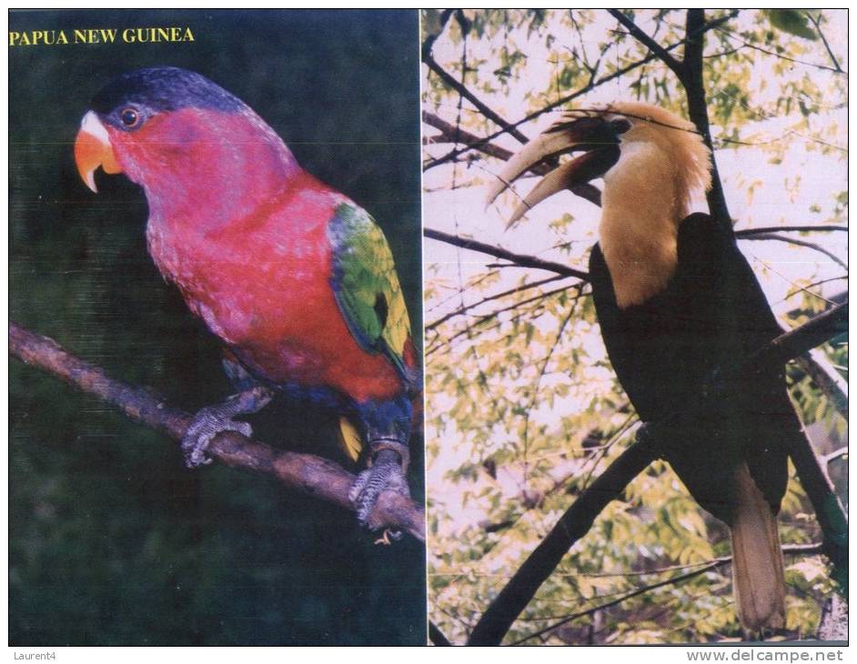(333) Papua New Guinea - Papaousie  Nouvelle Guinée Birds - Papouasie-Nouvelle-Guinée
