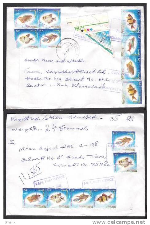 Fishes, Flowers, Postal History Cover From PAKISTAN Local Used 2012 - Fishes