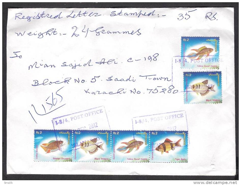 Fishes, Flowers, Postal History Cover From PAKISTAN Local Used 2012 - Fishes