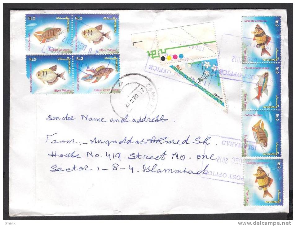 Fishes, Flowers, Postal History Cover From PAKISTAN Local Used 2012 - Fishes