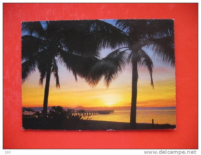 Green Island Tropical Sunset Through The Coconut Palms - Great Barrier Reef