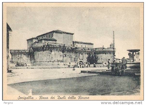 09/FG/13 - ANCONA - SENIGALLIA: Rocca Dei Duchi Della Rovere - Senigallia