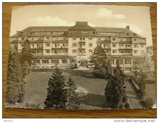 Königsteim Im Taunus   D103351 - Königstein