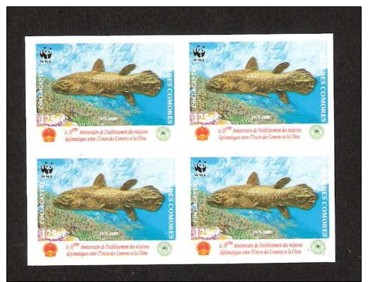 WWF 2005 COMOROS COMORES COMORO CHINA RED OVERPRINT COELACANTH FISH VISSEN IMPERF IMPERFORATED 4 BLOC MNH ** RARE - Other & Unclassified