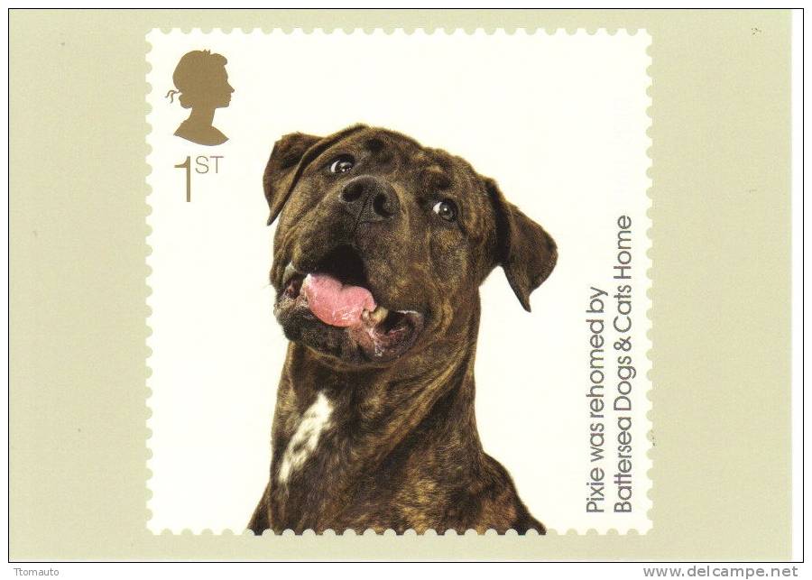 GB Stamp Card - Battersea Dogs And Cats Home - Chiens