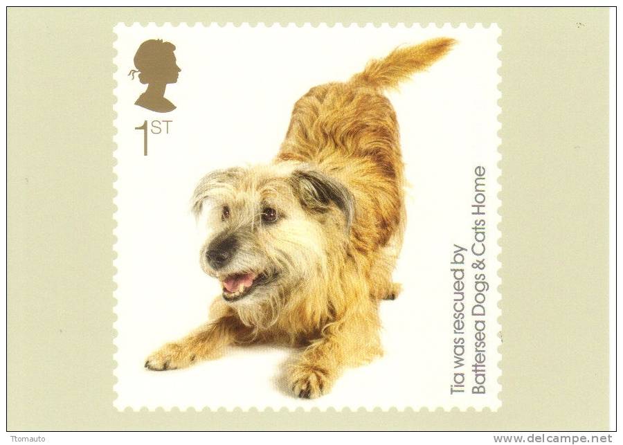 GB Stamp Card - Battersea Dogs And Cats Home - Chiens