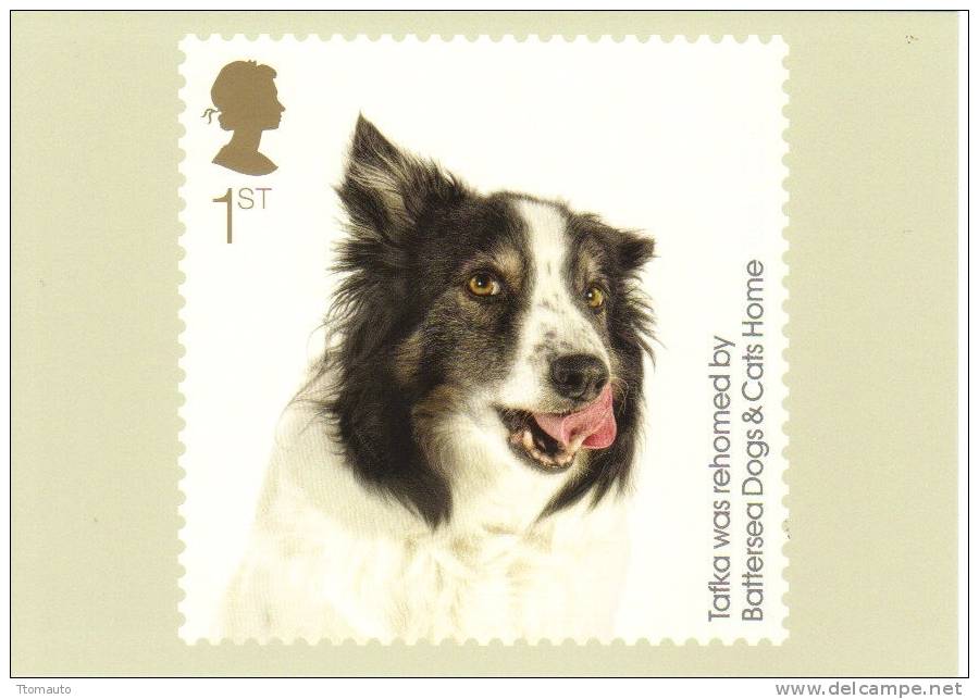 GB Stamp Card - Battersea Dogs And Cats Home - Chiens