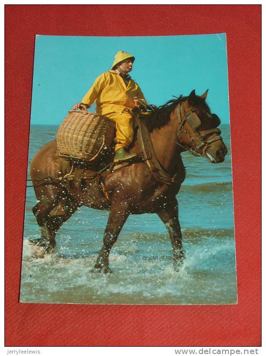 OOSTDUINKERKE   - Garnalenvisser Te Paard  - Pêcheur De Crevettes à Cheval - Oostduinkerke