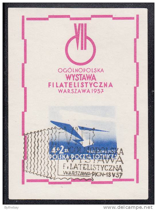 Poland Used Scott #CB1 Souvenir Sheet, Imperf 4z + 2z Wing Of Jet Plane, Letter - 7th Polish Nat'l Philatelix Exhibition - Usados