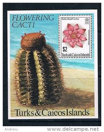 1981 Turks & Caicos Islands - Cactus Flowers, Plants, Flora.  Yv. Block 31  MNH - Sukkulenten