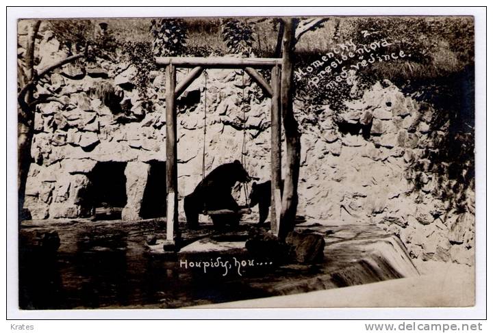 Postcard - Praha, Prag, ZOO   (8911) - Tsjechië