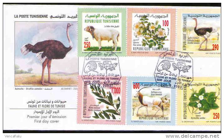 Tunisia 2003 - Animals And Flowers, FDC - Struzzi