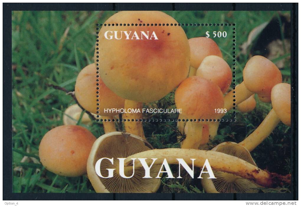 Guyana Mushrooms S/S Pilze Block °BM0413 MNH - Pilze