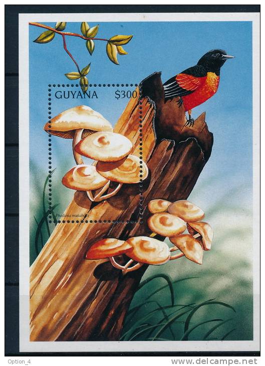 Guyana Mushrooms Birds S/S Pilze Vögel Block °BM0436 MNH - Pilze